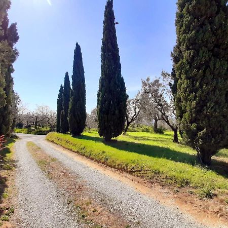Villa Il Palagio Vinci Exterior foto