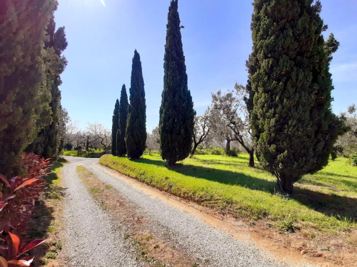 Villa Il Palagio Vinci Exterior foto