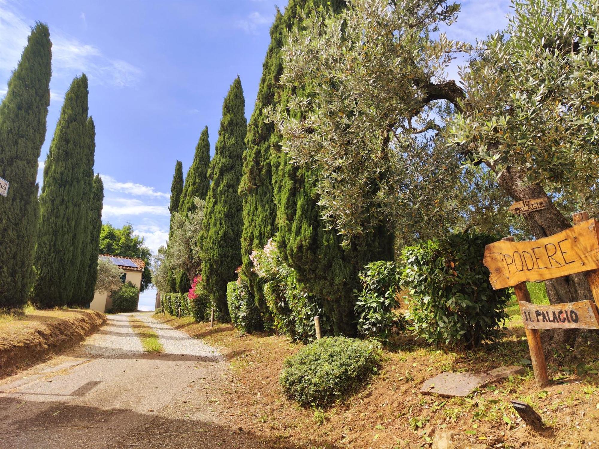 Villa Il Palagio Vinci Exterior foto